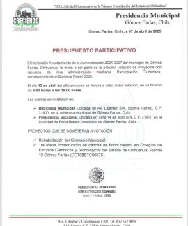 presupuesto participativo